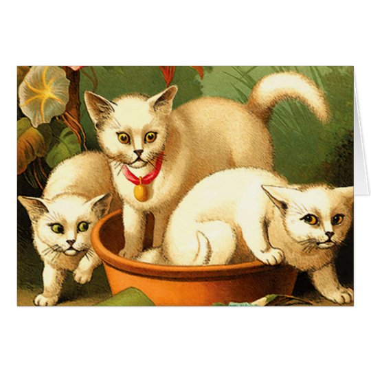 Card/ Invitation: Three White Kittens Card