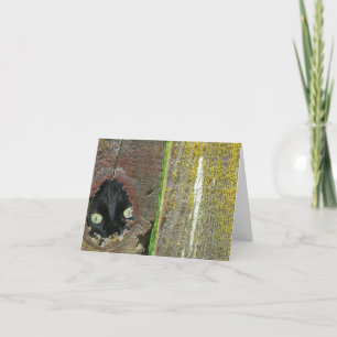 Card - Note - black cat peeking