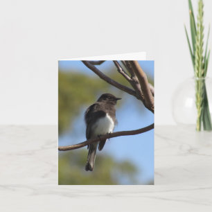 Card - Note - Flycatcher