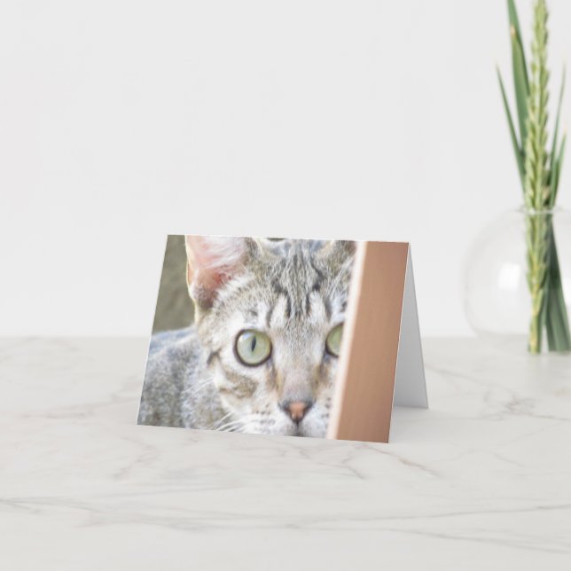 Card - Note - Forlorn Kitten (Front)