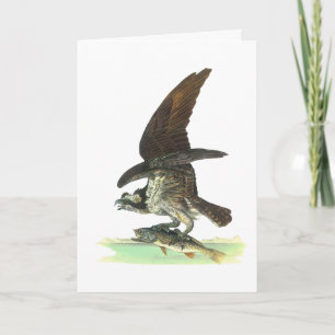 Card: Osprey - John Audubon Holiday Card