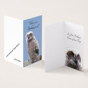 Card - Owl Birthday