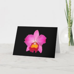 Card, pink cattleya. # 1781 copy card