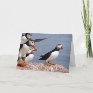 Card Puffins