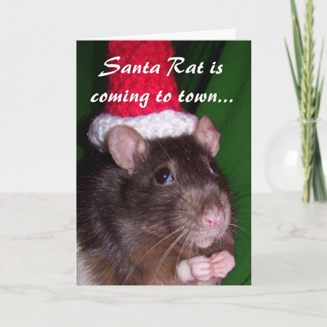 Card: Santa Rat Holiday Card (Front)