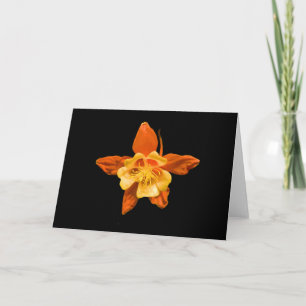 Card, Scarlet and Red Columbine Blossom # 2646 Card