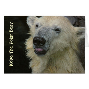 Card: Smiling Polar Bear