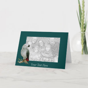 Card Template - African Gray Parrot
