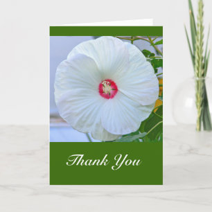 Card, "Thank You" White Hibiscus Thank You Card