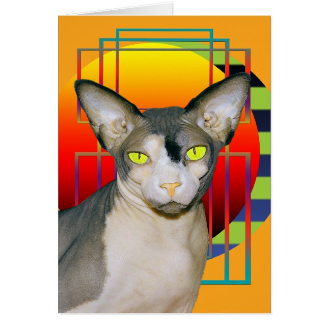 Card | Vamp Sphynx Cat (Orange) (Front)