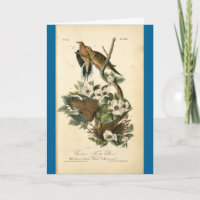 Card - Vintage Turtle Doves - Happy Birthday