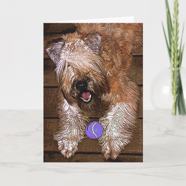 Card: "Wanna Play?" Holiday Card (Front)