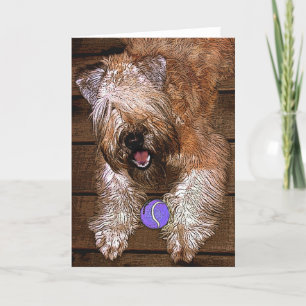 Card: "Wanna Play?" Holiday Card