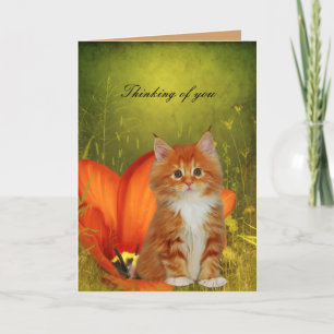 Card White Cat Kitten Flowers "Thinking of you"