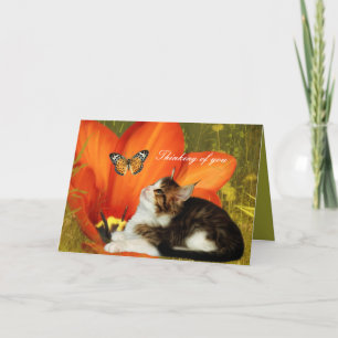 Card White Cat Kitten Flowers "Thinking of you"