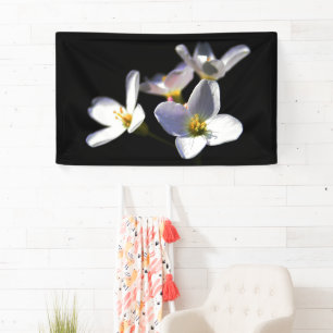 Cardamine Pratensis Flowers bnrcnm Banner