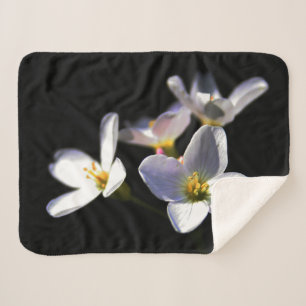 Cardamine Pratensis Flowers sbcna Sherpa Blanket