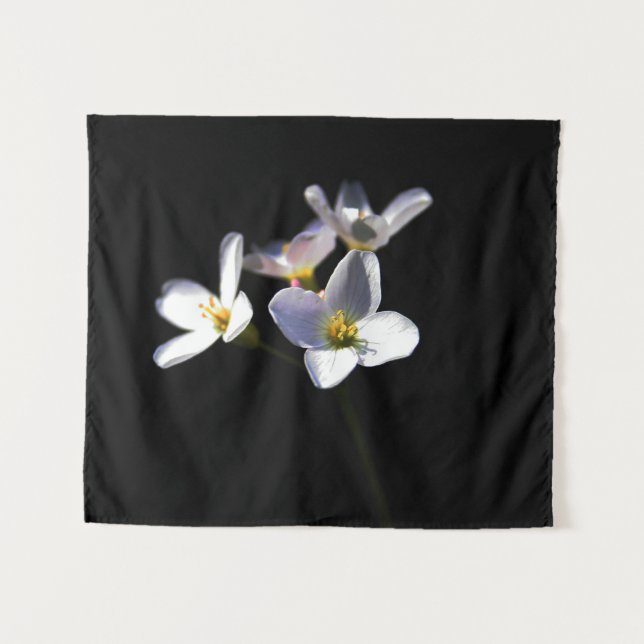 Cardamine Pratensis Flowers wtm Tapestry (Front (Horizontal))
