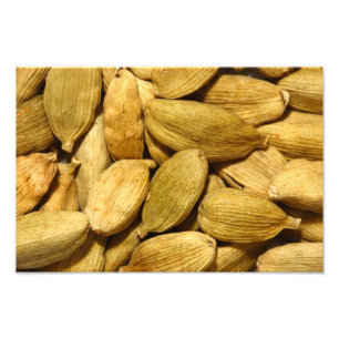 Cardamom pods photo print