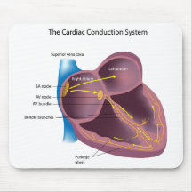 Cardiac Conduction System Mousepad