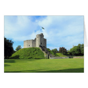Cardiff Castle Keep II
