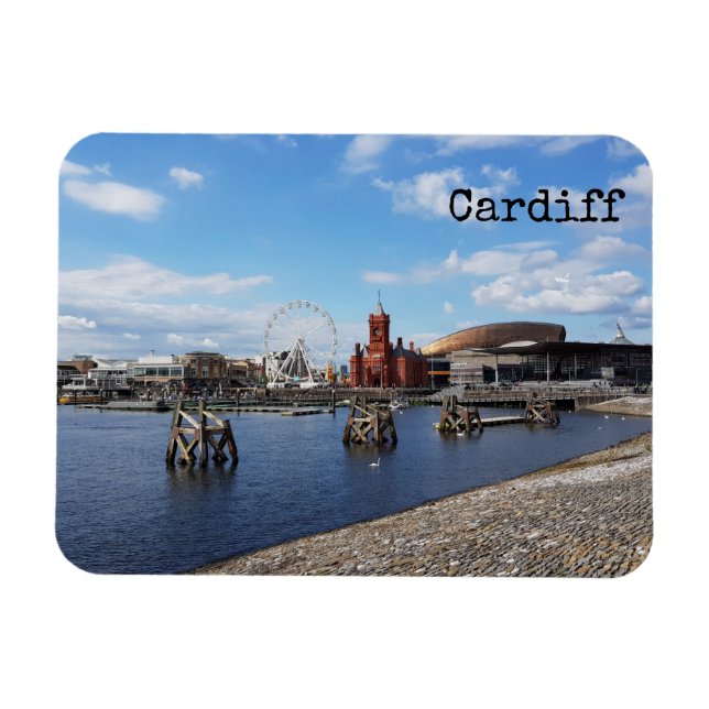 Cardiff Magnet (Horizontal)