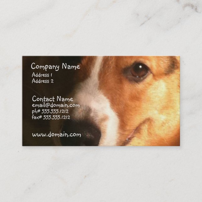 Cardigan Welsh Corgi Dog Business Card (Front)