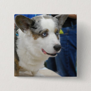 Cardigan Welsh Corgi Dog  Button
