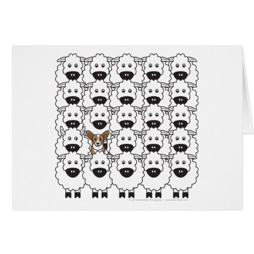 Image of Cardigan Welsh Corgi in the Sheep