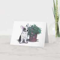 Cardigan Welsh Corgi Notecard  ~  Blue Merle
