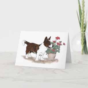 Cardigan Welsh Corgi Notecard  ~  Brindle