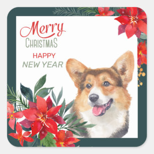Cardigan Welsh Corgi Poinsettia Bouquet Christmas  Square Sticker