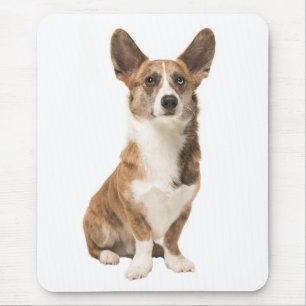 Cardigan Welsh Corgi Puppy Dog Mouse Mat
