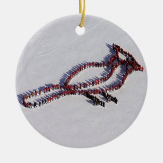 Cardinal 2010 People Project ornament