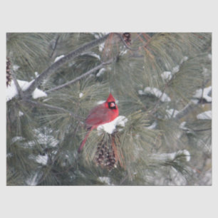 Cardinal 3093 Tissue Paper