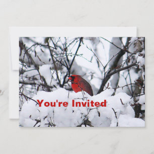 Cardinal 6216 Birthday Invitation