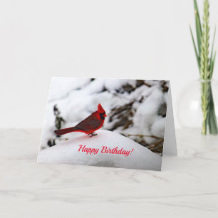 Cardinal 6239 Birthday Card