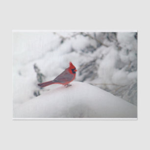 Cardinal 6239 Tissue Paper