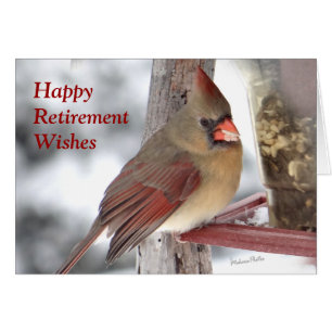 Cardinal 6649 xc - customise