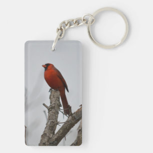 cardinal a top the tree. key ring