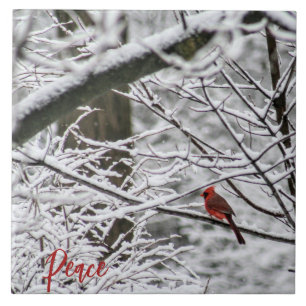 Cardinal among snowy branches tile