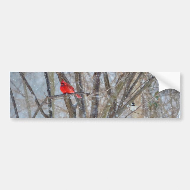 Cardinal and Chickadee Bumper Sticker (Front)