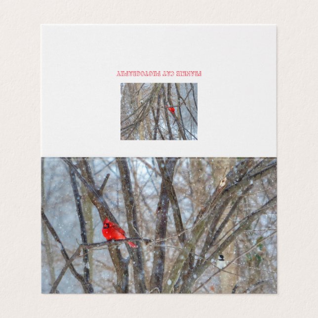 Cardinal and Chickadee Greeting Card (Outside Unfolded)