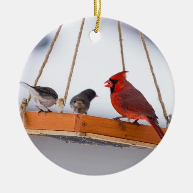 Cardinal and Juncos Ceramic Tree Decoration (Front)