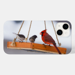 Cardinal and Juncos iPhone Case