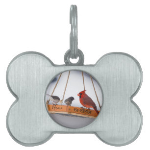 Cardinal and Juncos Pet ID Tag