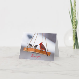 Cardinal and Juncos Thank You Card