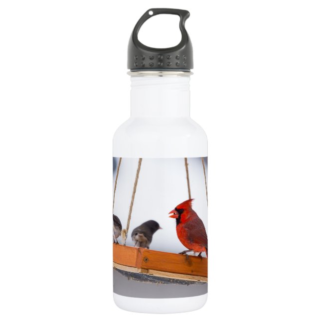 Cardinal and Juncos Water Bottle (Front)