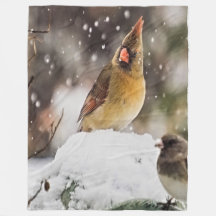 Cardinal And Sparrow In The Snow