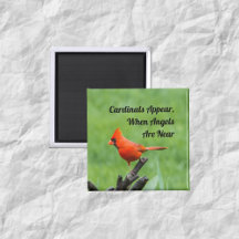 Cardinal Appear Angels Near Magnet Decor